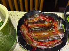 -二荆条·蜀鲜汇城市森林火锅