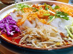 东北大拉皮-关东大厨老三熏鹅(新石店)