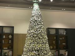 -瑰丽酒店·海吧·天际下午茶·现场DJ·天台酒吧