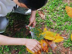 -人民公园(罗湖区)