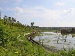 -白鹭湾湿地公园