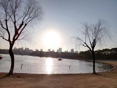 -黄兴公园
