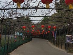 -无锡动物园·太湖欢乐园