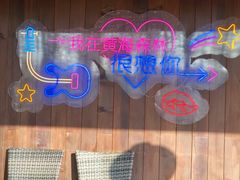 -黄海国家森林公园