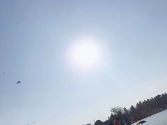 -瑶湖郊野森林公园
