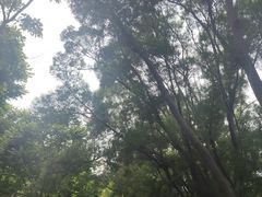 -攀枝花公园