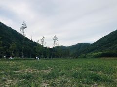 -北仑森林植物园