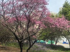-白塘生态植物园