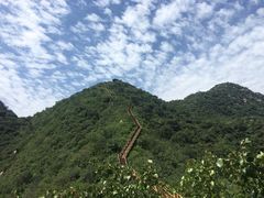 -大岭沟猕猴桃谷风景区