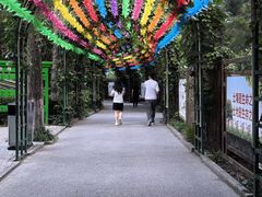 -黄村公园