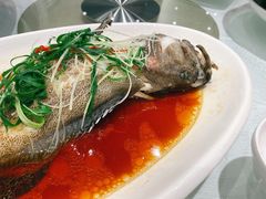-金翠皇宫粤菜·点心·海鲜(科技园店)