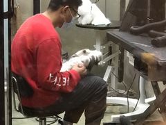 -PETKIT小佩宠物·低压洗护(国顺东路店)