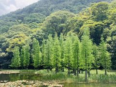 -广州市石门国家森林公园