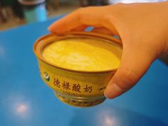 -德禄酸奶(莫家街店)