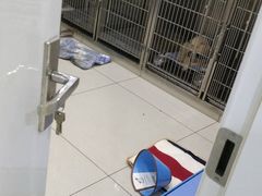 -瑞鹏瑞爱宠物医院·全科·猫科·血液透析中心(龙头寺店)