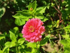 -杜氏旅游度假区