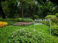 -云溪植物园