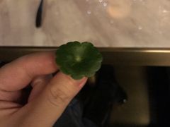 -STARRY CAFE & LOUNGE BAR(高新店)