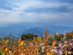 -白草畔自然风景区