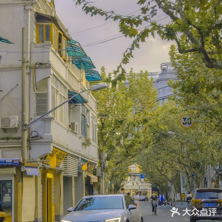 你为什么喜欢上海