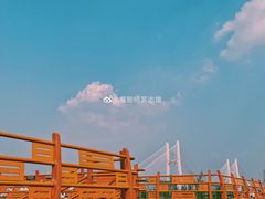 -武汉两江游览·夜游长江(汉口粤汉码头)