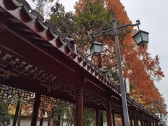 -安亭老街