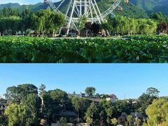 -华清宫景区