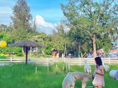 -玫瑰海岸文化旅游度假区