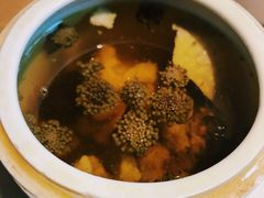 田七花炖鸡-猛料鸭仔饭(赤坎店)