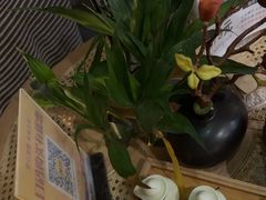 -施奈儿.洗头頭療.按摩SPA.采耳(上梅林店)