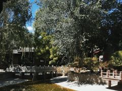 -纯阳宫(大同古城)