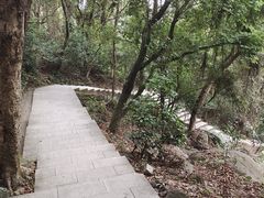 -火炉山森林公园