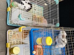 -后海16号·北京私房菜