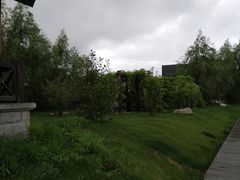 -呼兰河口湿地公园