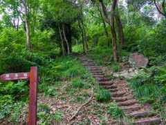 -青龙山国家森林公园
