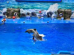 -多彩贵州城极地海洋世界