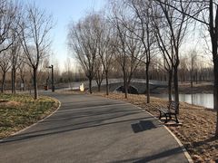 -东郊湿地公园