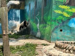 -中国大熊猫保护研究中心雅安碧峰峡基地