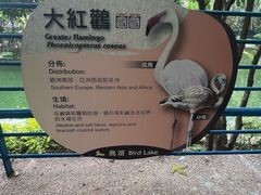 -九龙公园