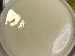 蛋白炖鲜牛奶-澳洲牛奶公司(佐敦店)