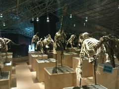 -世界恐龙谷景区