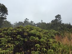 -夏威夷火山国家公园