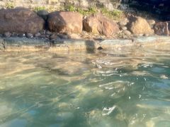 -崇阳三特浪口温泉