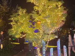 -后海彼岸花园餐厅