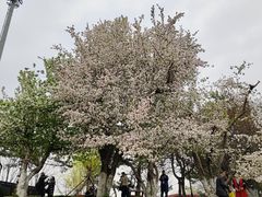 -元大都城垣遗址公园