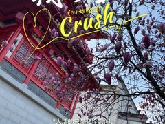 -茅山东方盐湖城景区