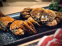 -旺小胖小龙虾