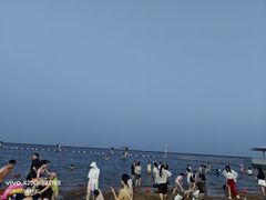 -碧海金沙