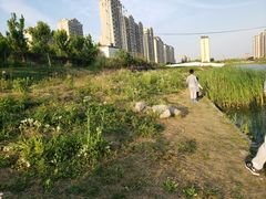 -新江湾城公园