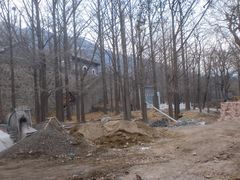 -北京鹫峰国家森林公园